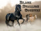 ** BLACK STALLION COUNTRY **