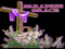 PARADISE GRACE SANCTUARY