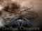 Gothic Creators