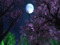 Magnolia Moon