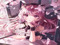 Cherrie-Tree