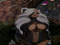 Adult Fantasy Roleplay