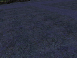 parcel image