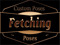 Fetching Poses 