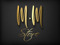 M.M STORE Designer Shape