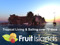 Fruit Islands Events