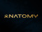 .Anatomy.