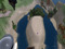 Rare Island (A) - IRONCHURCH 11888 sqms