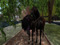 Magic's & Valentine's Herd Magic's & Valentine's Herd