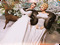 ♥Debra Masterson-Lemon♥ ♥Debra Masterson-Lemon♥