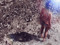 ♥7 Water Girl