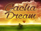 ..-Gacha Dream-..