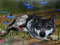 the wolf pack......