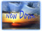 * New Dawn *