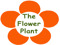 THE FLOWER PLANT