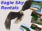 Eagle Sky Eagle Sky