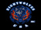 NightWolves MC