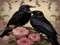 The Ravenwood Group L.L.C. The Ravenwood Group L.L.C.
