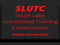 SLUT-C: South Lake Uninhibited Training Conservatory SLUT-C: South Lake Uninhibited Training Conservatory