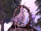 ╠░✯ RoNV: Realm of New Vale Roleplay ╠░✯ RoNV: Realm of New Vale Roleplay