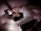 Why Women turn lesbian in 15 Minutes of entering SL Why Women turn lesbian in 15 Minutes of entering SL