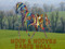 Hoof & Hooves Dance Hall
