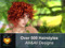A&A Hair - Alli&Ali Designs New Mainstore Landing Point 