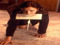 1. What I Look For In A Submissive 1. What I Look For In A Submissive