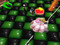 Balloonies n Panda Dude Balloonies n Panda Dude
