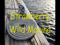 Strawberry Wild Marina Club
