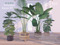 What Next  - Home & Garden Mainstore 