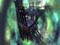 ANAVRIN