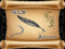 [G&S] ADVERT