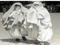 Qutb's arabized wives