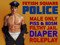 Fetish Square Police