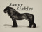 Savvy Stables Auction House & Sales