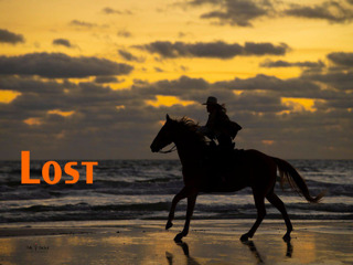 Image for Lost Island