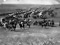 4th US Cavalry
