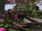 My avatars