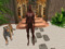 Tribal Warrior Tribal Warrior
