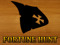 The Fortune Hunt