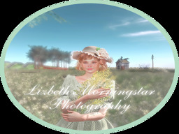 parcel image