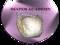 - Diaper Academy - - Diaper Academy -