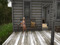 My little cottage in Eotia Village