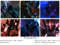 Wyrdo's pictures! 