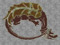 Order of the Dragon (vampire) Order of the Dragon (vampire)
