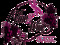 VINE 2 WINE VINE 2 WINE