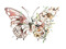 Nella Wild Ones