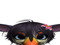 Roleplay Info