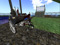WHITE ARROWS FARM/ W.A.T WHITE ARROWS FARM/ W.A.T